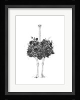 Floral Ostrich Fine Art Print