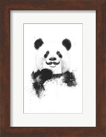 Funny Panda Fine Art Print