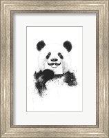 Funny Panda Fine Art Print