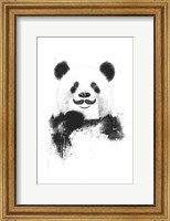 Funny Panda Fine Art Print
