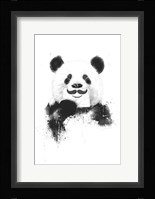 Funny Panda Fine Art Print