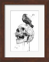 New Skull Fine Art Print