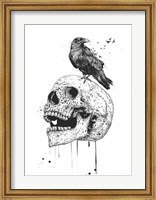 New Skull Fine Art Print