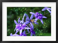 Bee and Purple Flowers Fine Art Print