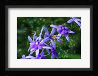 Bee and Purple Flowers Fine Art Print