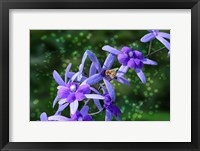 Bee and Purple Flowers Fine Art Print
