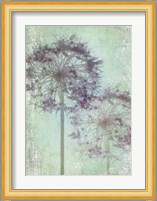 Allium Globe Master Fine Art Print