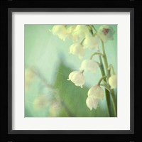 Lily of the Valley Fine Art Print