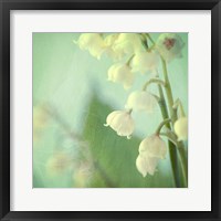Lily of the Valley Fine Art Print