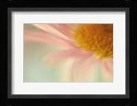 Whisper Fine Art Print