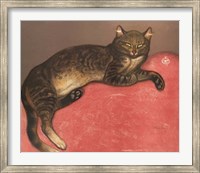 Cat on a Cushion Fine Art Print