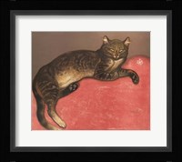 Cat on a Cushion Fine Art Print