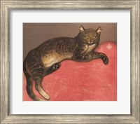 Cat on a Cushion Fine Art Print