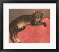 Cat on a Cushion Fine Art Print