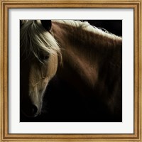 Spirit Horse Fine Art Print