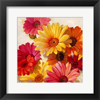 Daisies for Spring Fine Art Print