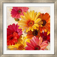 Daisies for Spring Fine Art Print