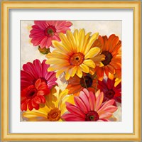 Daisies for Spring Fine Art Print