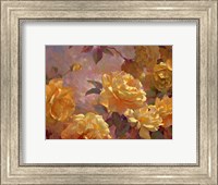 Golden Glow Fine Art Print