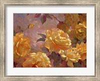 Golden Glow Fine Art Print