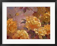 Golden Glow Fine Art Print