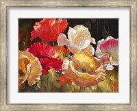 Poppy Celebration Fine Art Print