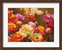 Ranunculus Garden Fine Art Print