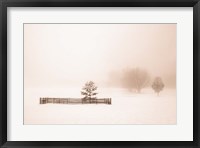 Isolated Fine Art Print