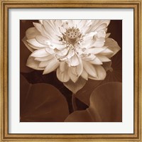 Lotus Welcome Fine Art Print