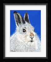 Calgary Jack Fine Art Print