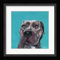 Good Boy Fine Art Print