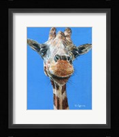 Norman Fine Art Print