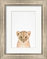 Baby Lion Fine Art Print