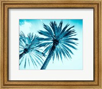 Chic Palms Fine Art Print