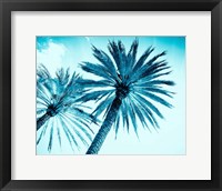 Chic Palms Fine Art Print