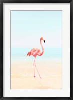Flamingo on the Beach II Fine Art Print
