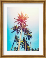 Palms in the Sun Fine Art Print