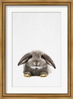 Rabbit II Fine Art Print