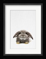 Rabbit II Fine Art Print