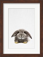 Rabbit II Fine Art Print