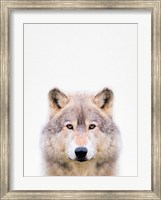 Wolf Fine Art Print