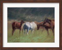 Southern Horses Fine Art Print