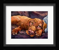 Beauty Rest Fine Art Print