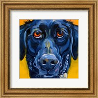 Black Dog Fine Art Print