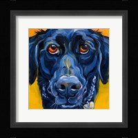 Black Dog Fine Art Print