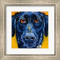 Black Dog Fine Art Print