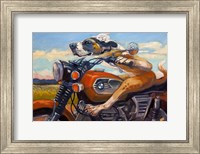 Fast and Furriest Fine Art Print