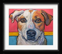 Mag 2017 Fine Art Print