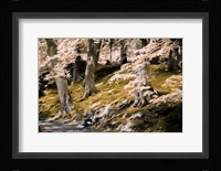 A Fine Place to Rest Fine Art Print