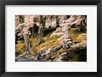 A Fine Place to Rest Fine Art Print